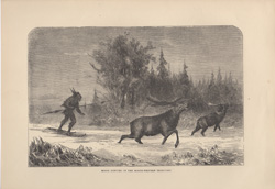 MOOSE HUNTING IN THE NORTH-WESTERN TERRITORY
